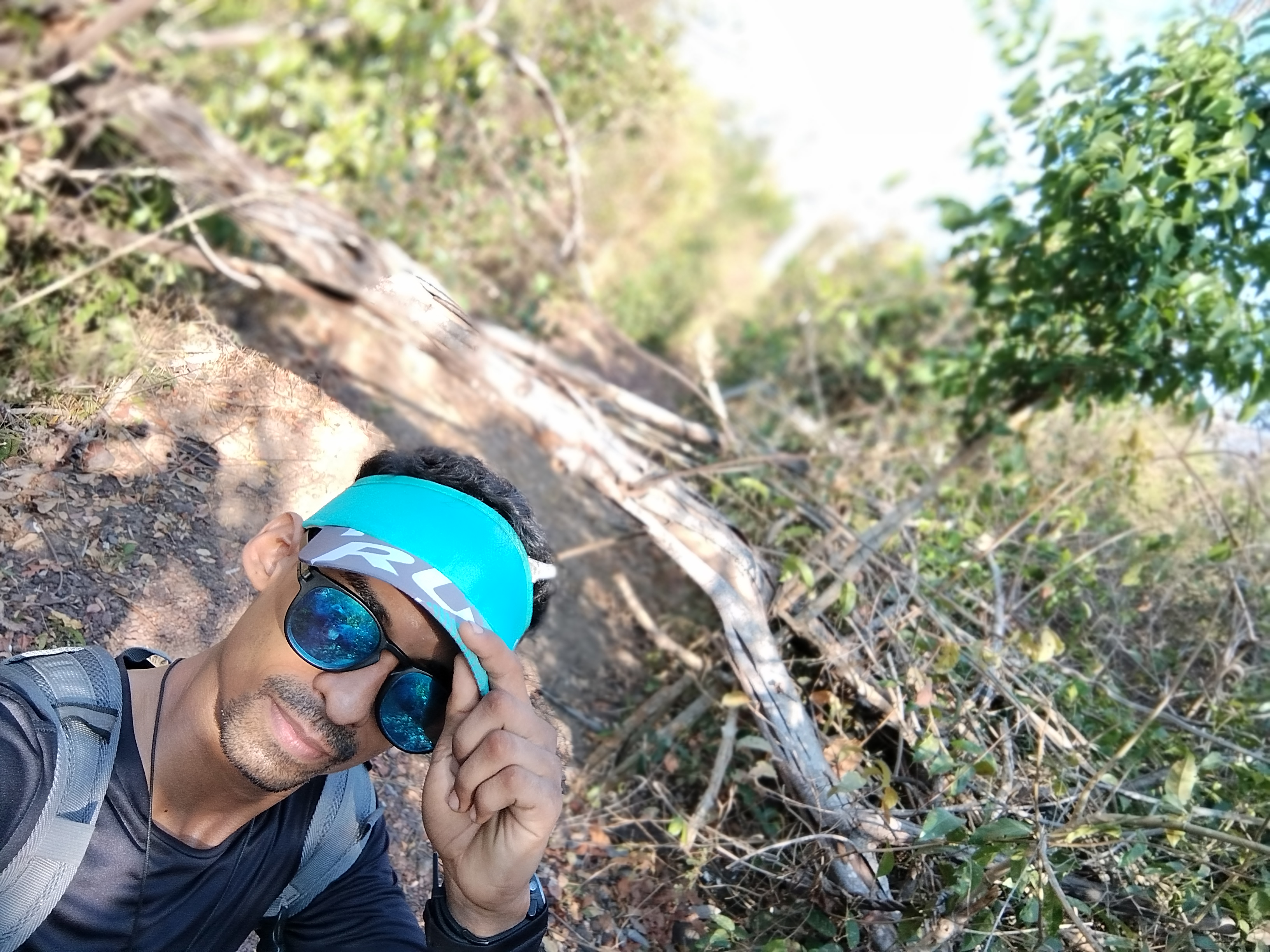 floresta dos palmares